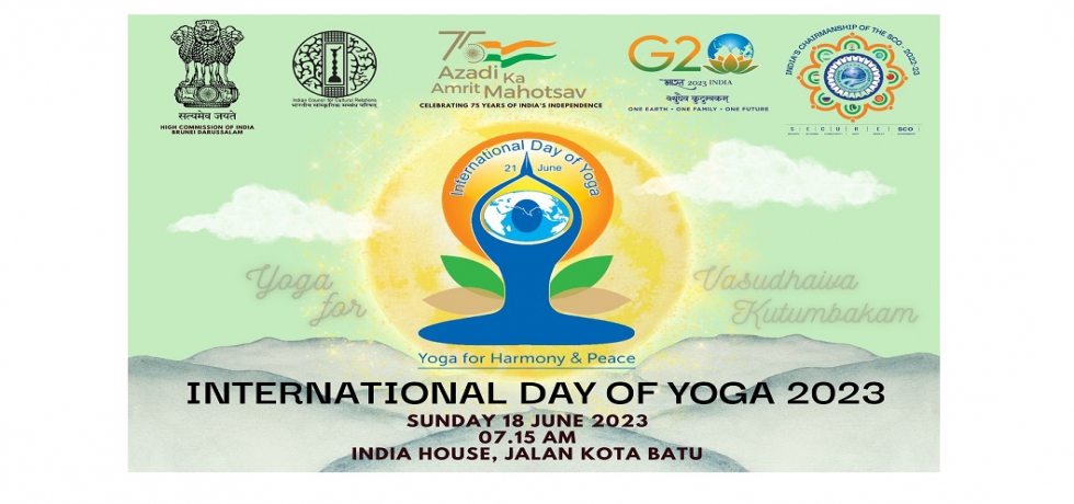 IDY-2023 Flyer